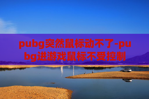 pubg突然鼠标动不了-pubg进游戏鼠标不受控制