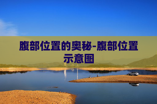 腹部位置的奥秘-腹部位置示意图