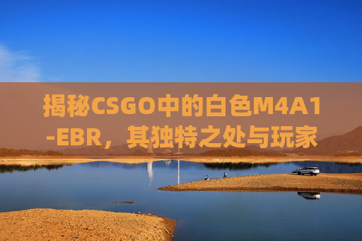 揭秘CSGO中的白色M4A1-EBR，其独特之处与玩家偏好-csgo白色的m4a1