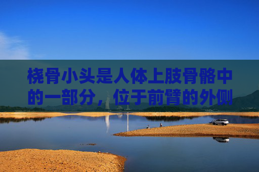桡骨小头是人体上肢骨骼中的一部分，位于前臂的外侧。它的主要功能是与尺骨小头相接触，为手腕提供支撑和稳定性。在解剖学上，桡骨小头是一个微小而重要的结构，其位置和形态对于手部的正常功能至关重要。-桡骨小头半脱位