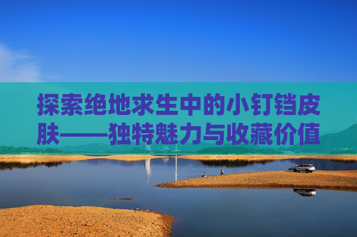 探索绝地求生中的小钉铛皮肤——独特魅力与收藏价值-小叮铛绝地求生