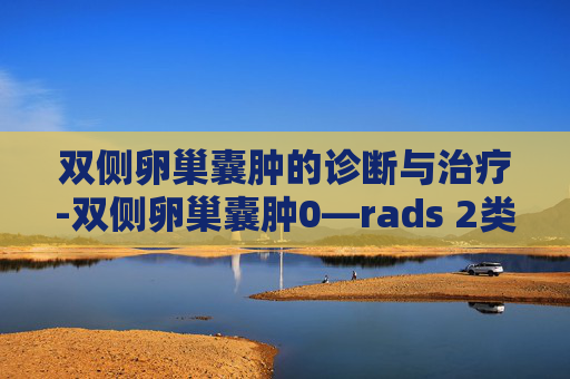 双侧卵巢囊肿的诊断与治疗-双侧卵巢囊肿0—rads 2类