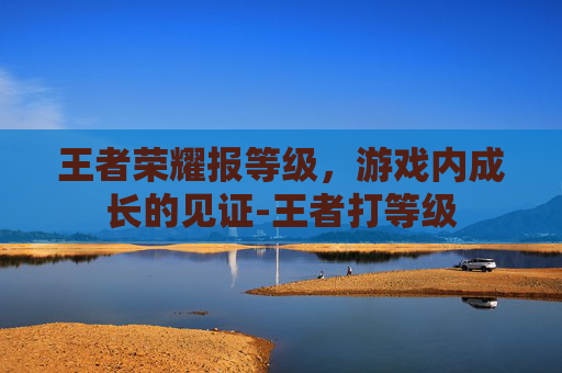 王者荣耀报等级，游戏内成长的见证-王者打等级