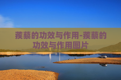 蒺藜的功效与作用-蒺藜的功效与作用图片