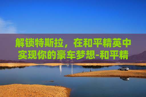 解锁特斯拉，在和平精英中实现你的豪车梦想-和平精英怎么解锁特斯拉模式
