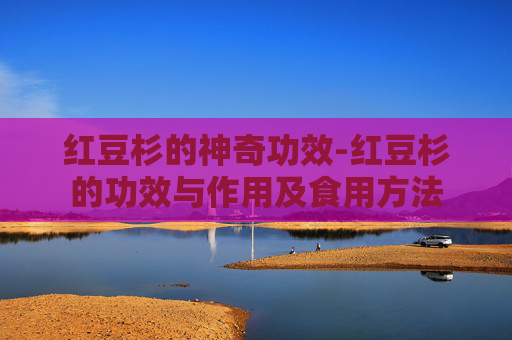 红豆杉的神奇功效-红豆杉的功效与作用及食用方法