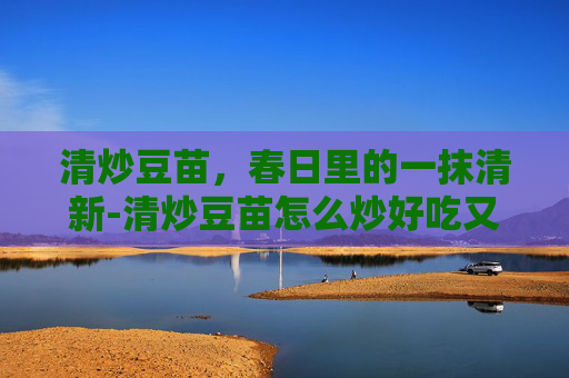 清炒豆苗,春日里的一抹清新-清炒豆苗怎么炒好吃又简单 清炒豆苗,春日里的一抹清新-清炒豆苗怎么炒好吃又简单