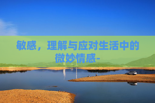 敏感，理解与应对生活中的微妙情感-