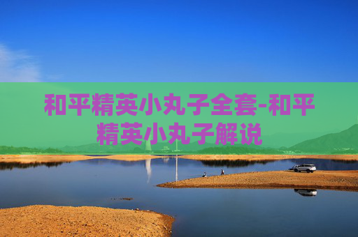 和平精英小丸子全套-和平精英小丸子解说