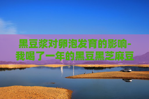 黑豆浆对卵泡发育的影响-我喝了一年的黑豆黑芝麻豆浆