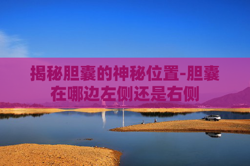 揭秘胆囊的神秘位置-胆囊在哪边左侧还是右侧