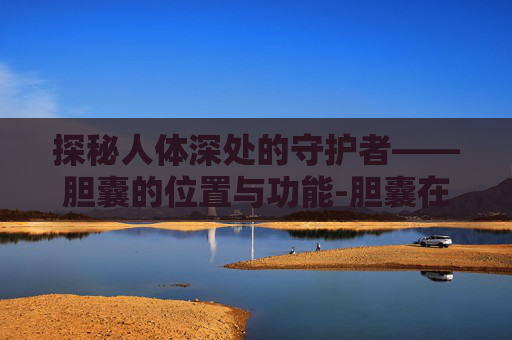 探秘人体深处的守护者——胆囊的位置与功能-胆囊在哪里人体示意图