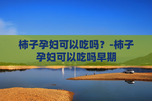 柿子孕妇可以吃吗?-柿子孕妇可以吃吗早期 柿子孕妇可以吃吗?-柿子孕妇可以吃吗早期