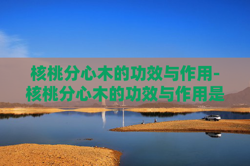 核桃分心木的功效与作用-核桃分心木的功效与作用是什么