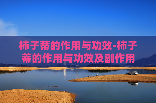 柿子蒂的作用与功效-柿子蒂的作用与功效及副作用