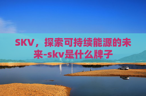 SKV，探索可持续能源的未来-skv是什么牌子