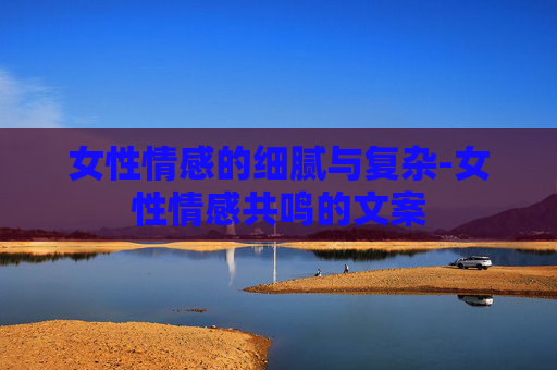 女性情感的细腻与复杂-女性情感共鸣的文案
