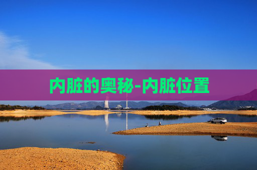 内脏的奥秘-内脏位置