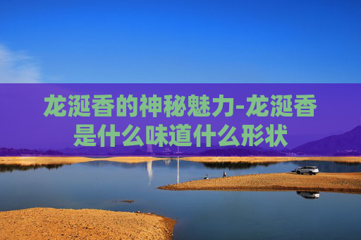 龙涎香的神秘魅力-龙涎香是什么味道什么形状