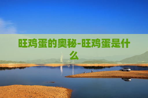 旺鸡蛋的奥秘-旺鸡蛋是什么