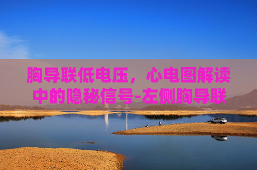 胸导联低电压，心电图解读中的隐秘信号-左侧胸导联低电压什么意思