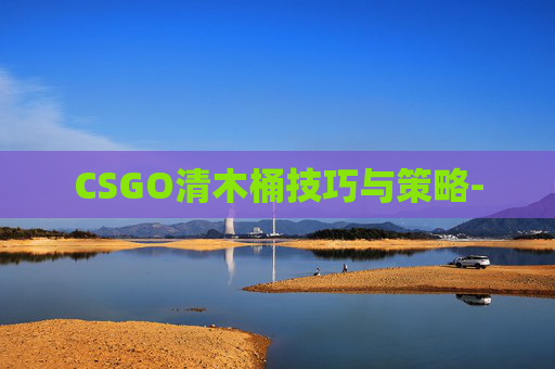 CSGO清木桶技巧与策略-