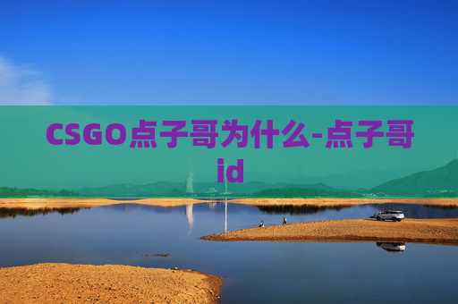CSGO点子哥为什么-点子哥id