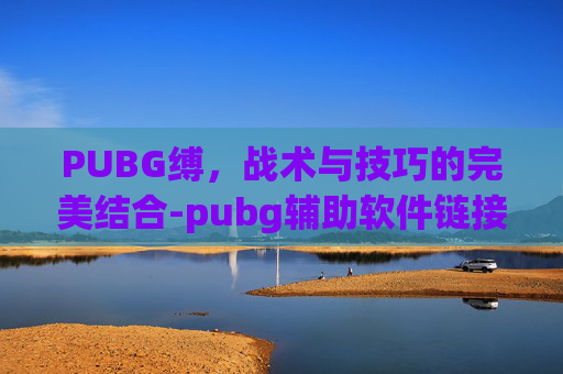 PUBG缚，战术与技巧的完美结合-pubg辅助软件链接大全