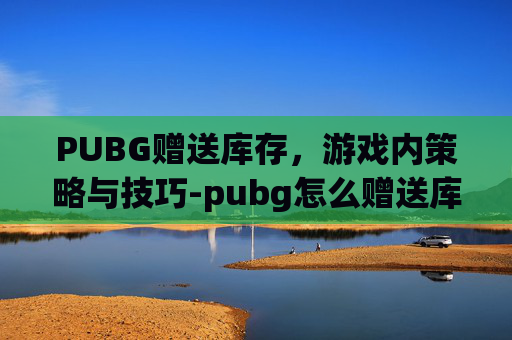 PUBG赠送库存，游戏内策略与技巧-pubg怎么赠送库存