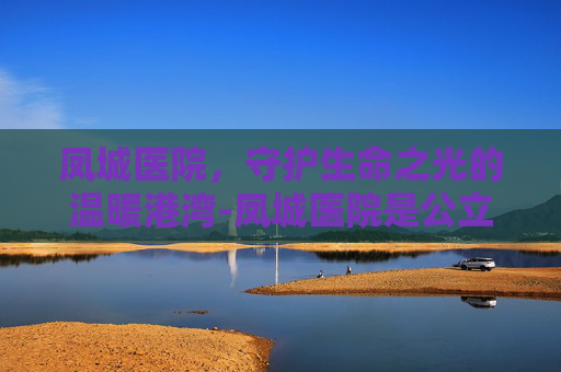 凤城医院，守护生命之光的温暖港湾-凤城医院是公立还是私立