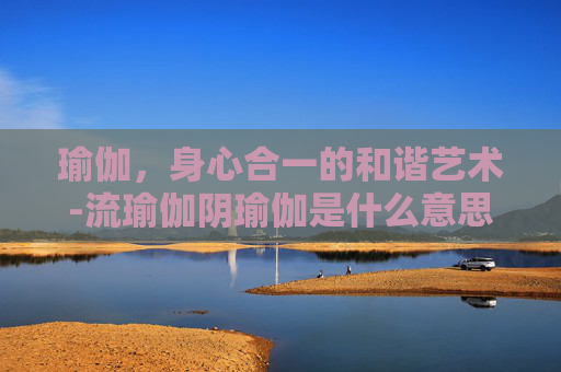 瑜伽，身心合一的和谐艺术-流瑜伽阴瑜伽是什么意思