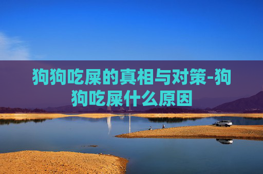 狗狗吃屎的真相与对策-狗狗吃屎什么原因