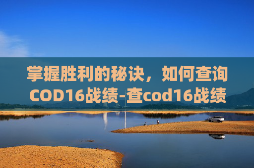 掌握胜利的秘诀，如何查询COD16战绩-查cod16战绩的app