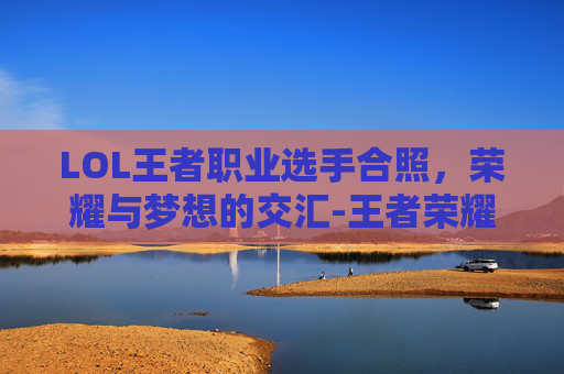 LOL王者职业选手合照，荣耀与梦想的交汇-王者荣耀英雄联盟职业选手