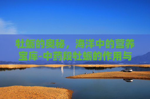 牡蛎的奥秘，海洋中的营养宝库-中药段牡蛎的作用与功效