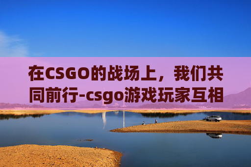 在CSGO的战场上，我们共同前行-csgo游戏玩家互相鼓励怎么办