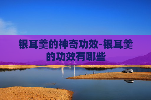 银耳羹的神奇功效-银耳羹的功效有哪些