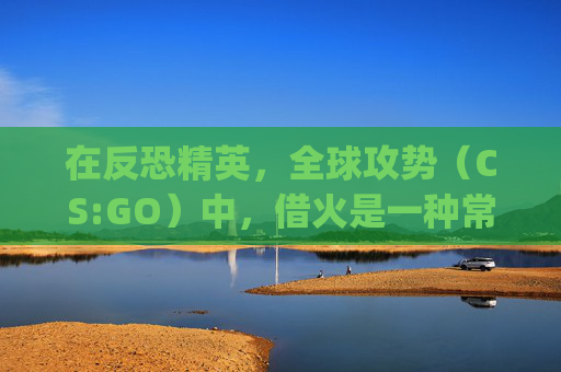 在反恐精英，全球攻势（CS:GO）中，借火是一种常见的策略，它允许玩家在关键时刻获得额外的火力支持。然而，这种策略并非没有风险。本文将探讨借火的利与弊，以及如何安全地使用这一技巧来提高游戏表现。-csgo火能灭烟吗