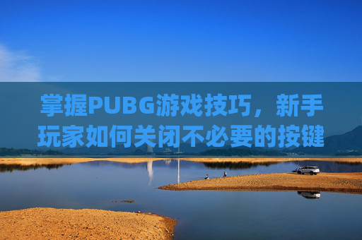 掌握PUBG游戏技巧，新手玩家如何关闭不必要的按键-pubg新手指南按键怎么关