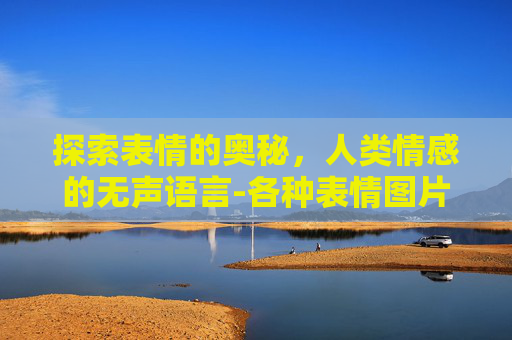 探索表情的奥秘，人类情感的无声语言-各种表情图片