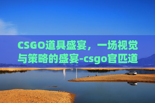 CSGO道具盛宴，一场视觉与策略的盛宴-csgo官匹道具