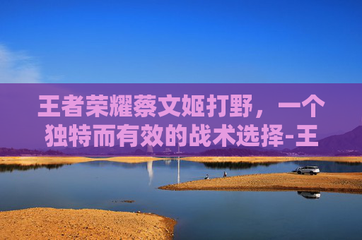 王者荣耀蔡文姬打野，一个独特而有效的战术选择-王者荣耀蔡文姬打野思路