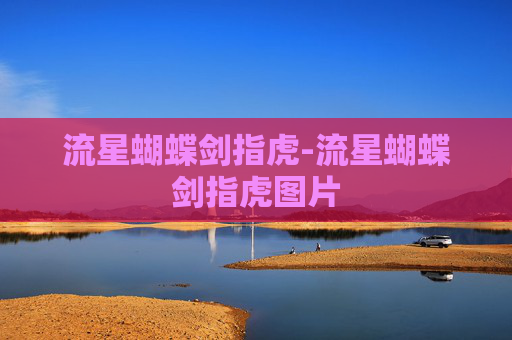 流星蝴蝶剑指虎-流星蝴蝶剑指虎图片