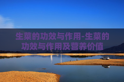生菜的功效与作用-生菜的功效与作用及营养价值
