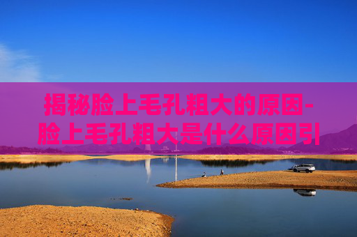 揭秘脸上毛孔粗大的原因-脸上毛孔粗大是什么原因引起的怎么治疗