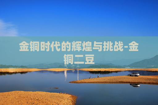 金铜时代的辉煌与挑战-金铜二豆