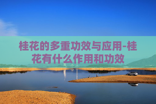 桂花的多重功效与应用-桂花有什么作用和功效