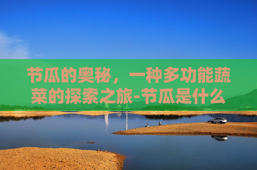 节瓜的奥秘，一种多功能蔬菜的探索之旅-节瓜是什么瓜
