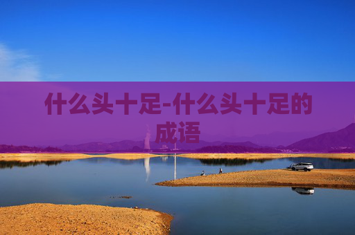 什么头十足-什么头十足的成语