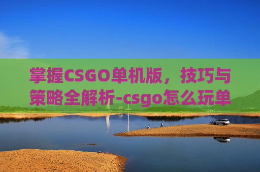 掌握CSGO单机版，技巧与策略全解析-csgo怎么玩单机版